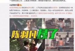 张颖爆料出轨视频大全集,揭秘不为人知的情感纠葛